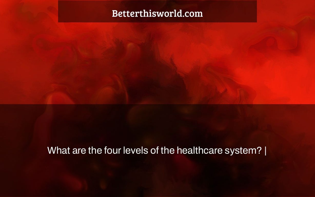 What are the four levels of the healthcare system? |