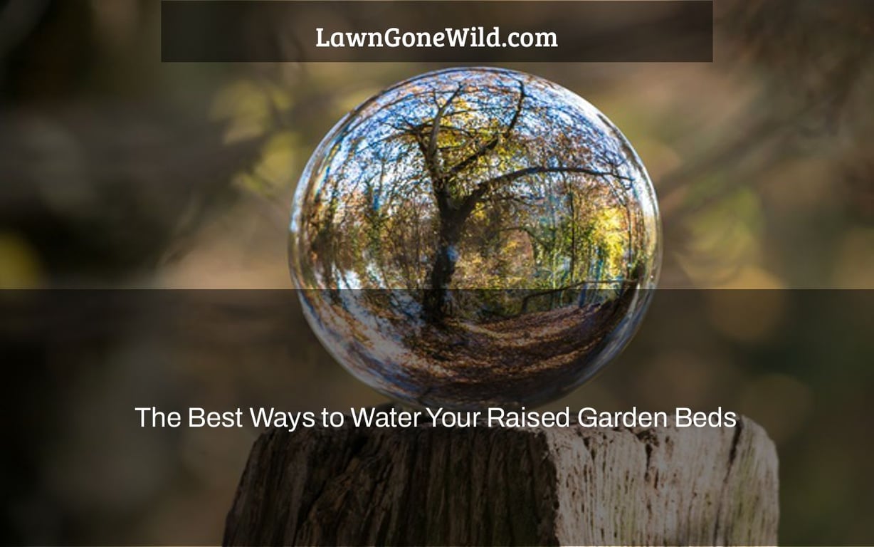 The Best Ways to Water Your Raised Garden Beds Lawn Gone Wild
