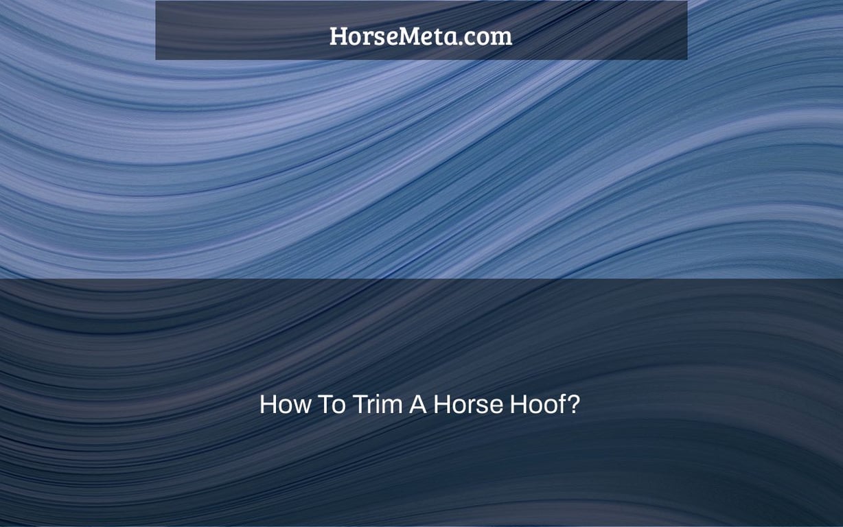 How To Trim A Horse Hoof? Horse Meta
