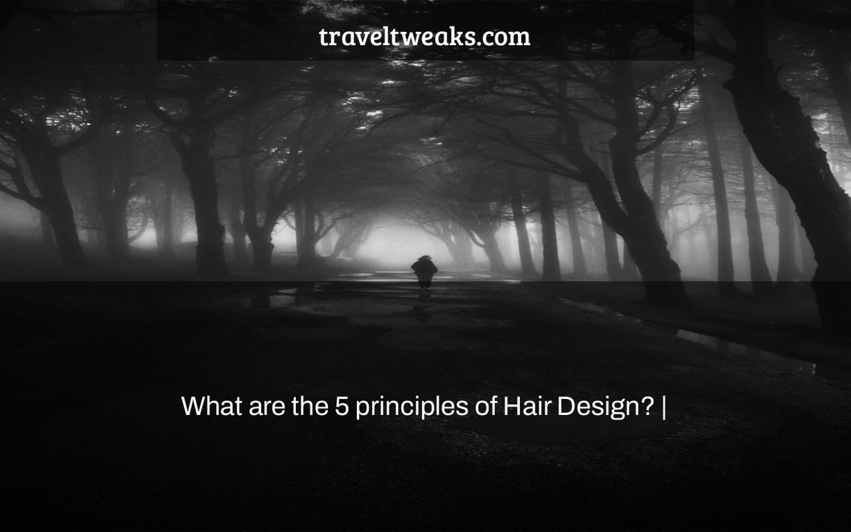 What are the 5 principles of Hair Design? |