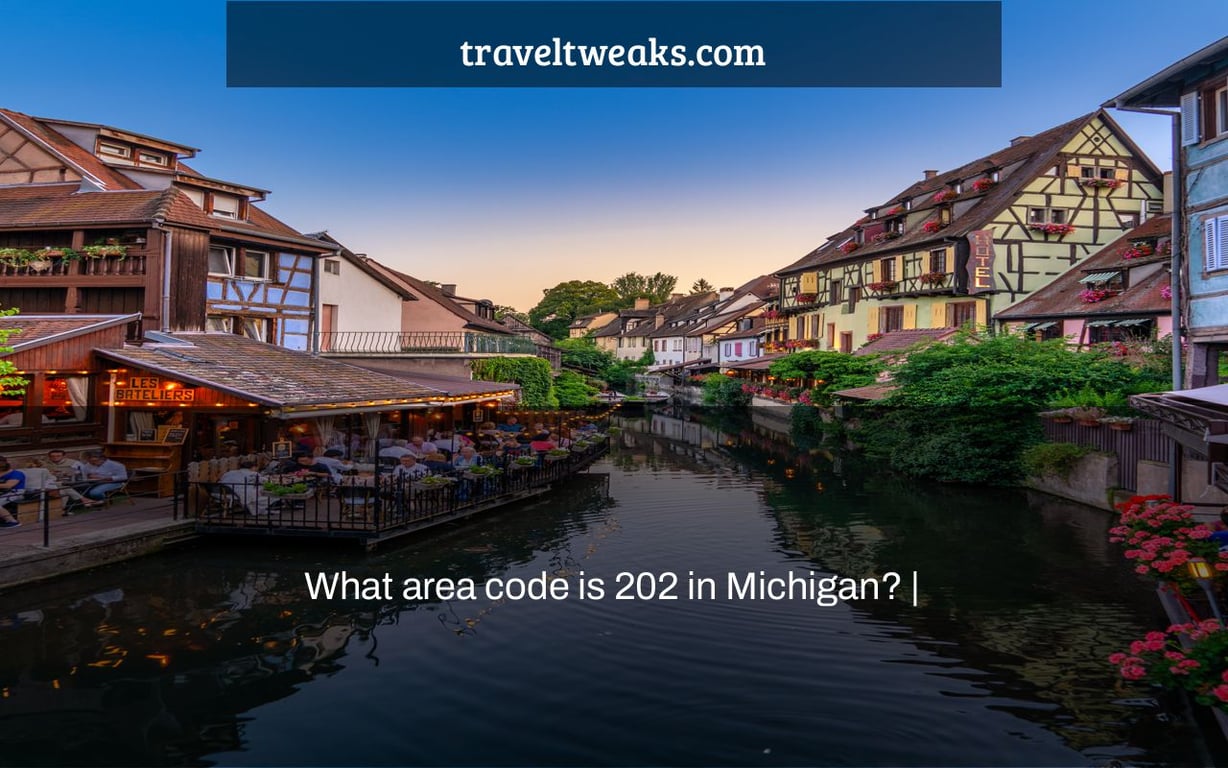 What area code is 202 in Michigan? |