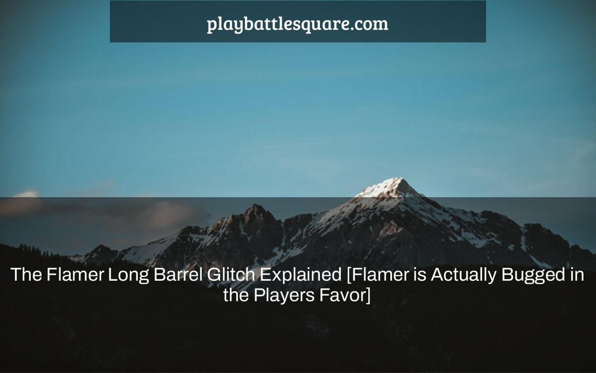 The Flamer Long Barrel Glitch Explained [Flamer is Actually Bugged in the Players Favor]