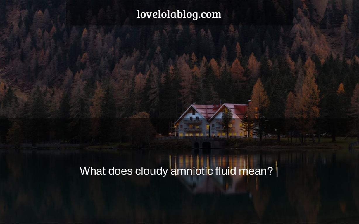 What does cloudy amniotic fluid mean? |