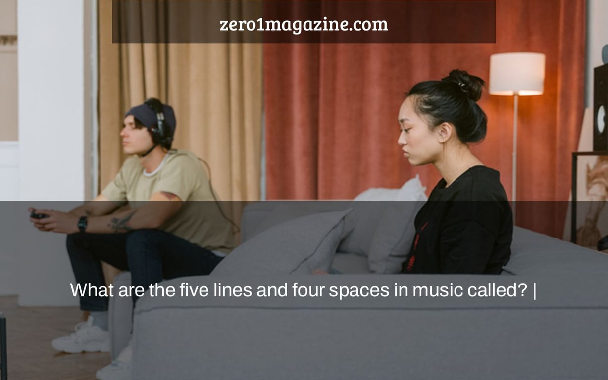 What are the five lines and four spaces in music called? |