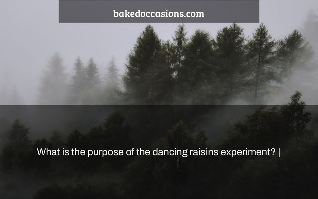 What is the purpose of the dancing raisins experiment? |