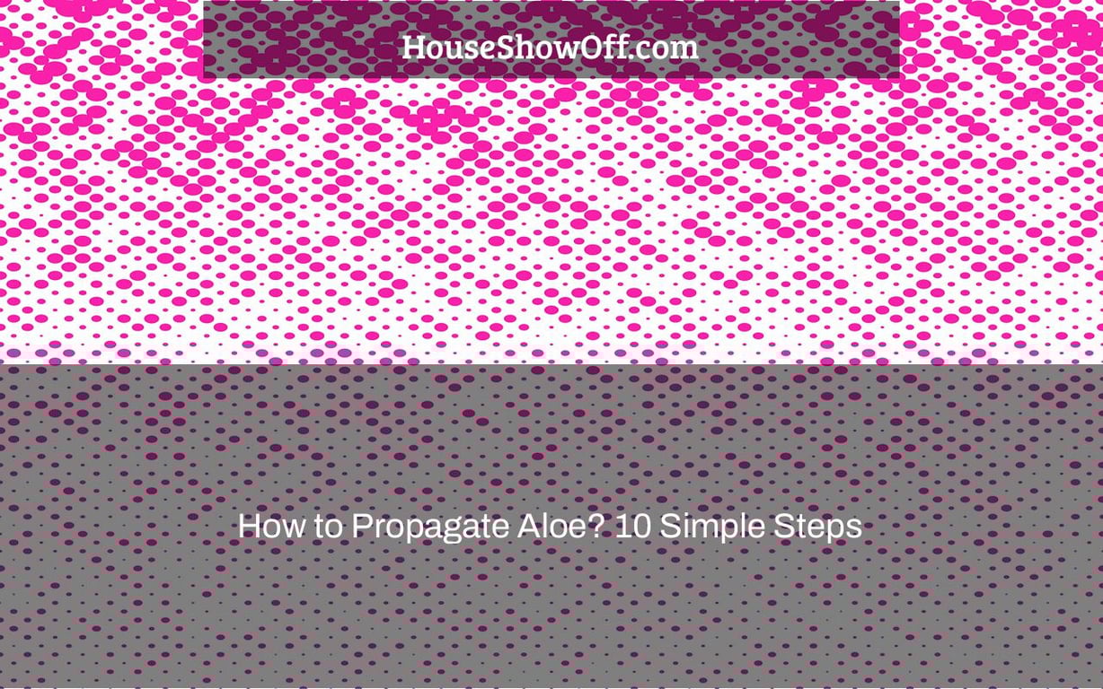 How to Propagate Aloe? 10 Simple Steps