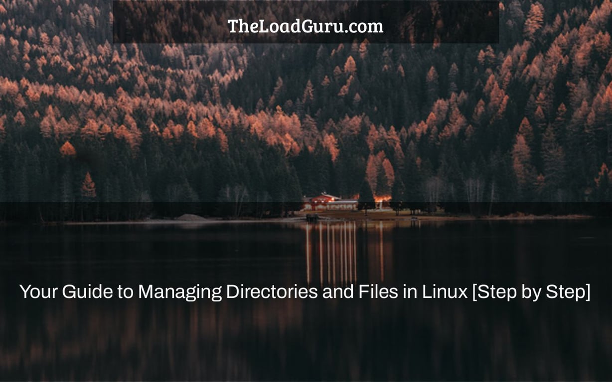 Your Guide to Managing Directories and Files in Linux [Step by Step]