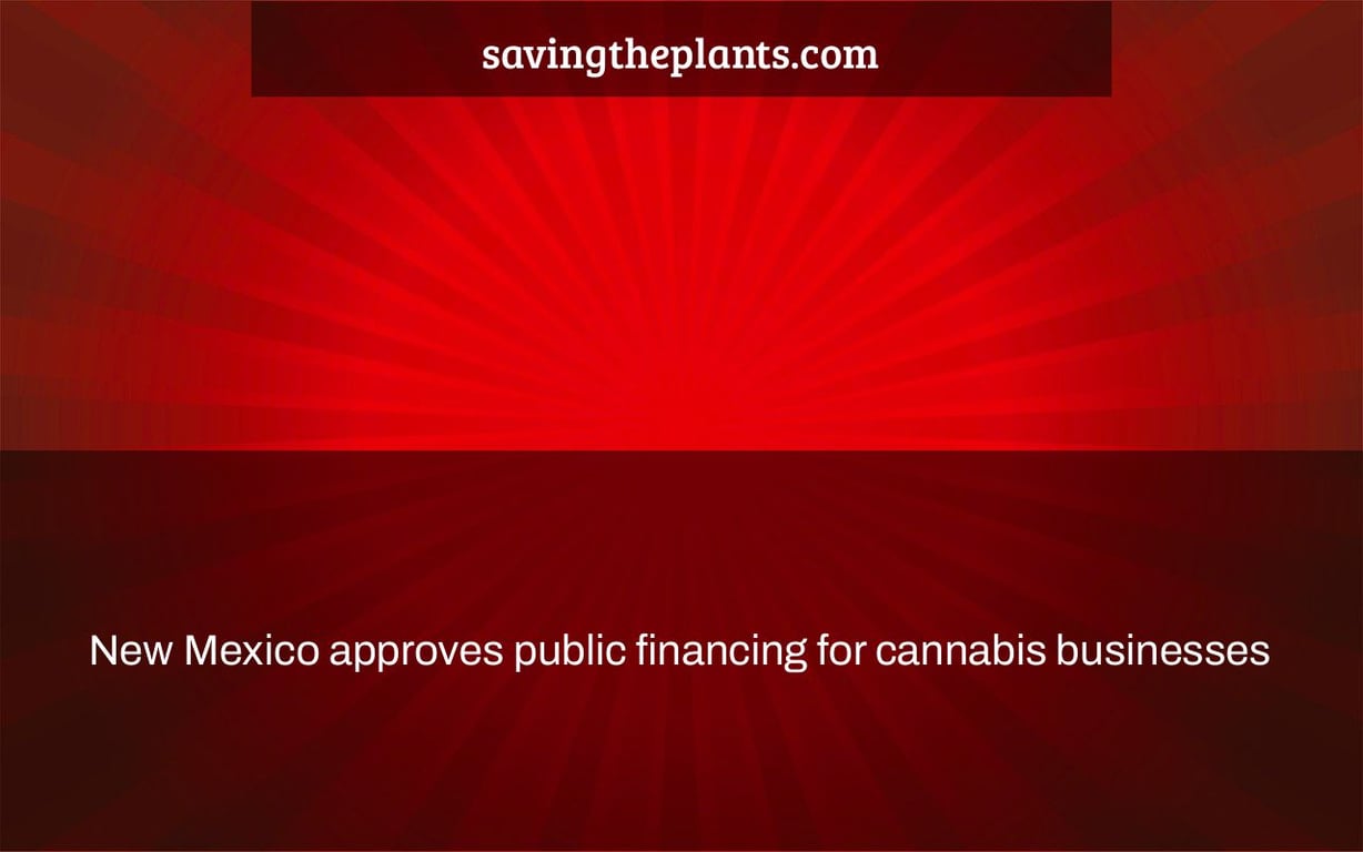 New Mexico approves public financing for cannabis businesses