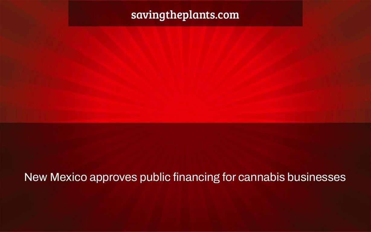 New Mexico approves public financing for cannabis businesses