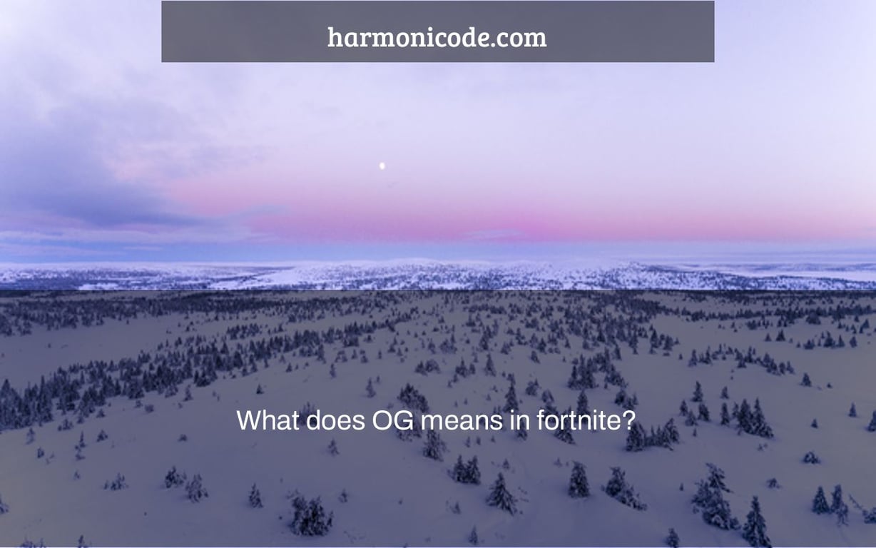 What does OG means in fortnite?