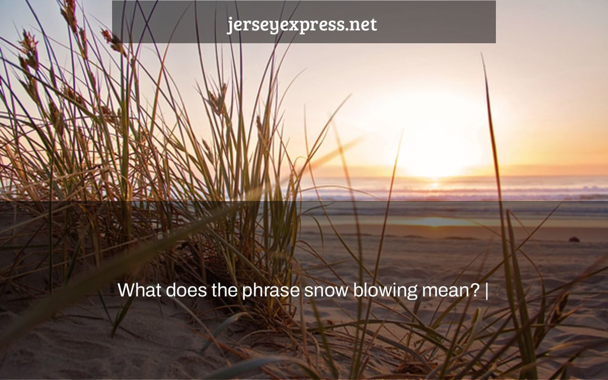 What does the phrase snow blowing mean? |