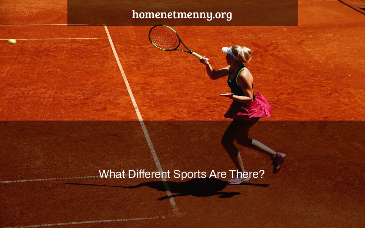 What Different Sports Are There?