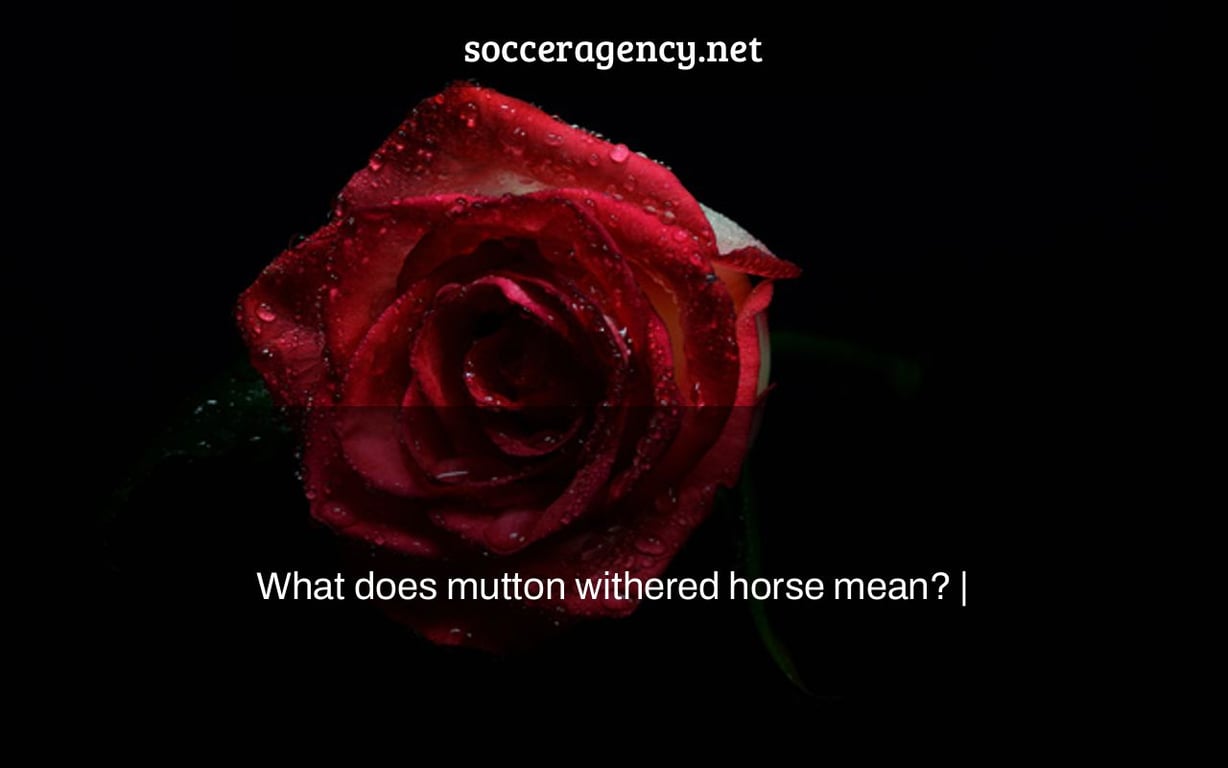 What does mutton withered horse mean? |