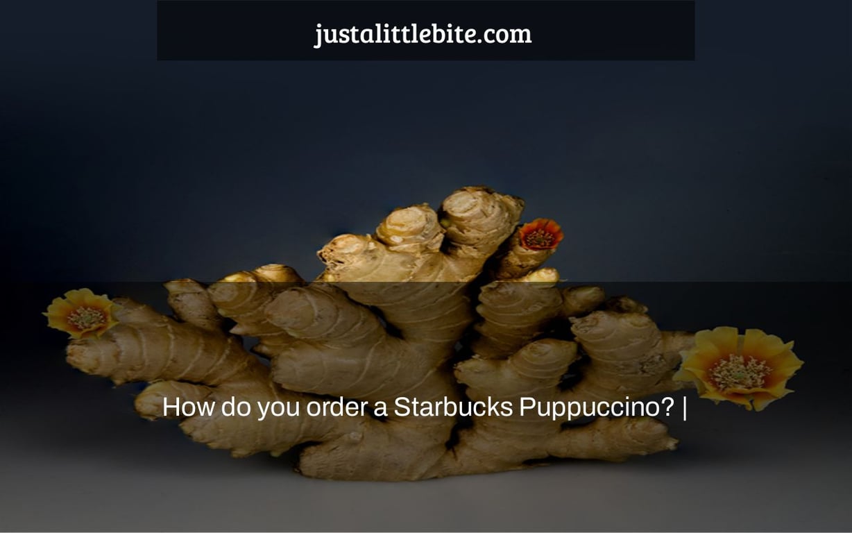 How do you order a Starbucks Puppuccino? |