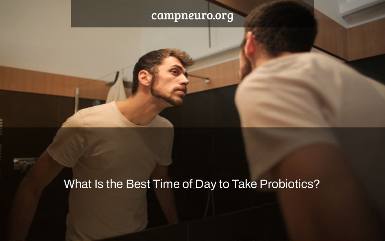 What Is the Best Time of Day to Take Probiotics? Camp Neuro