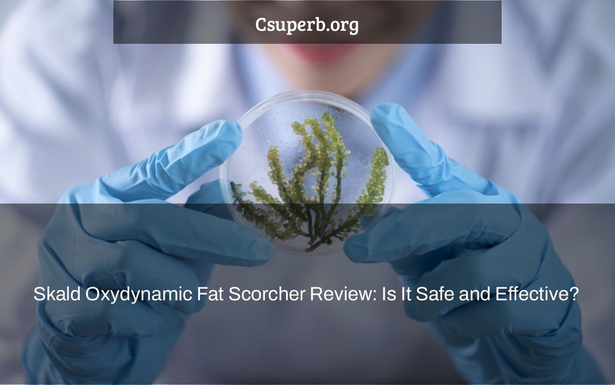 Skald Oxydynamic Fat Scorcher Review: Is It Safe and Effective?