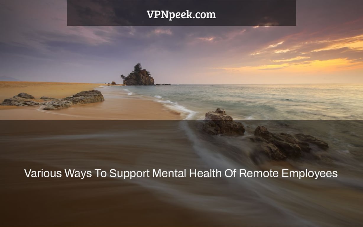Various Ways To Support Mental Health Of Remote Employees