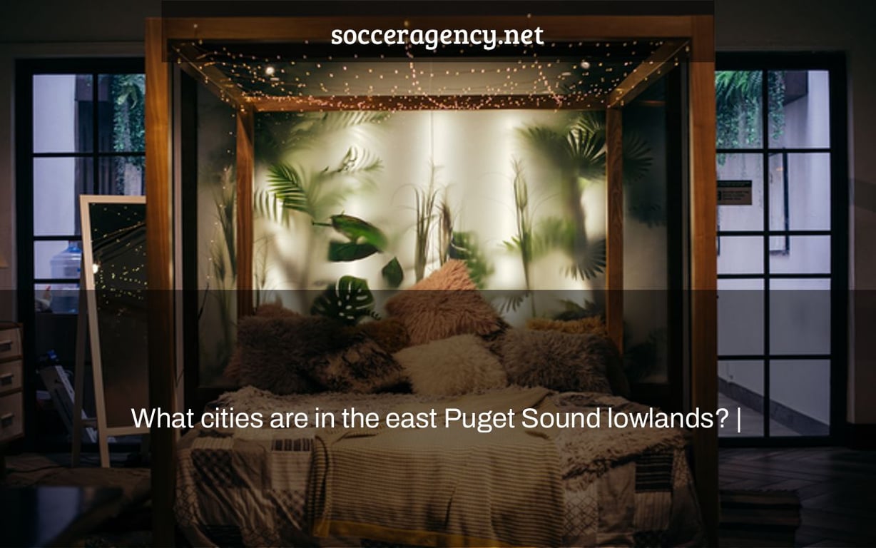 What cities are in the east Puget Sound lowlands? |