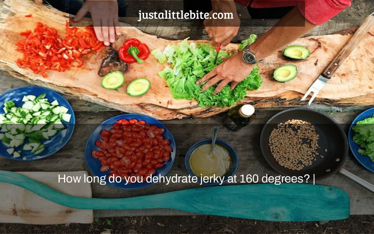 How long do you dehydrate jerky at 160 degrees? JustALittleBite