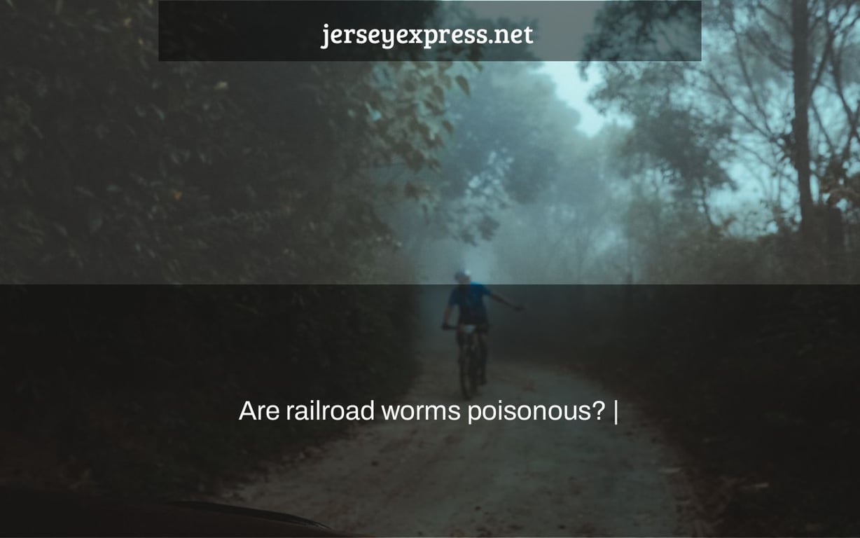 Are railroad worms poisonous? |
