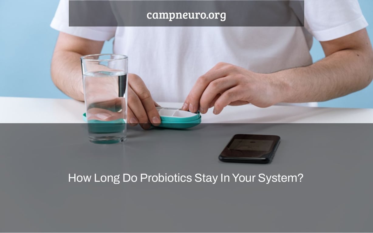 How Long Do Probiotics Stay In Your System? Camp Neuro