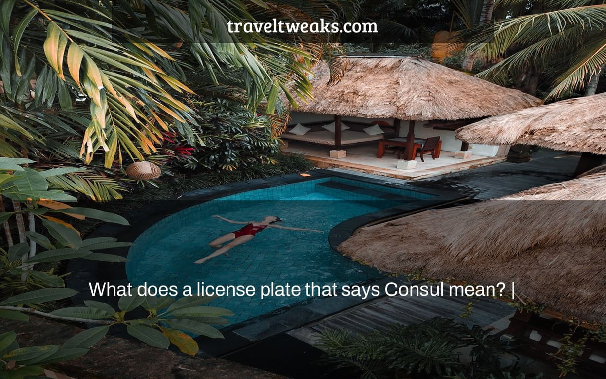 What does a license plate that says Consul mean? |