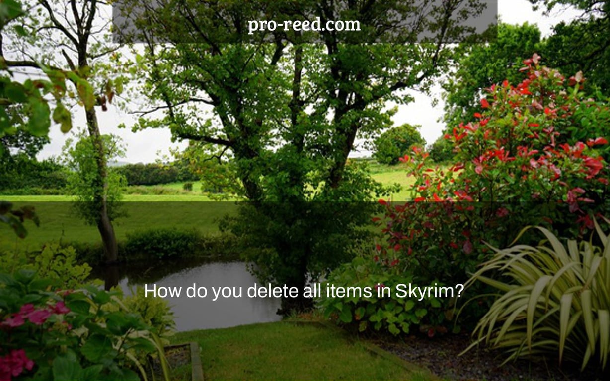 How do you delete all items in Skyrim?