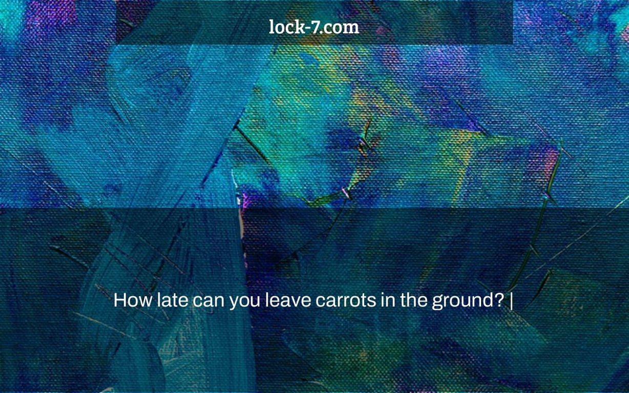How late can you leave carrots in the ground? |