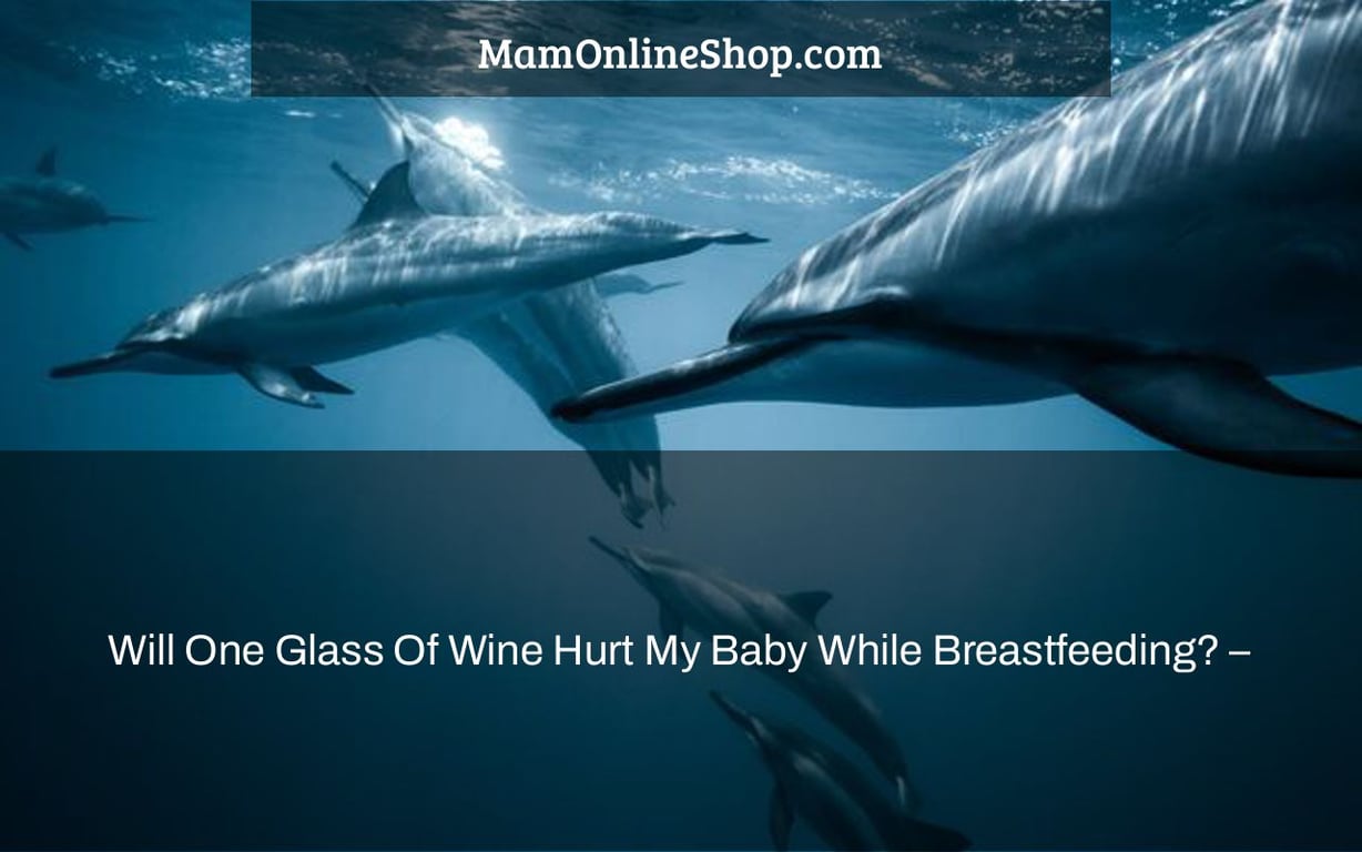 Will One Glass Of Wine Hurt My Baby While Breastfeeding? –