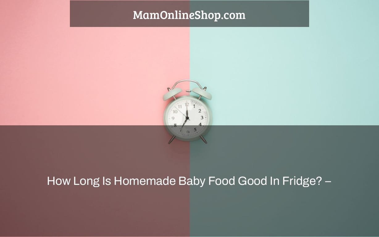 How Long Is Homemade Baby Food Good In Fridge? –