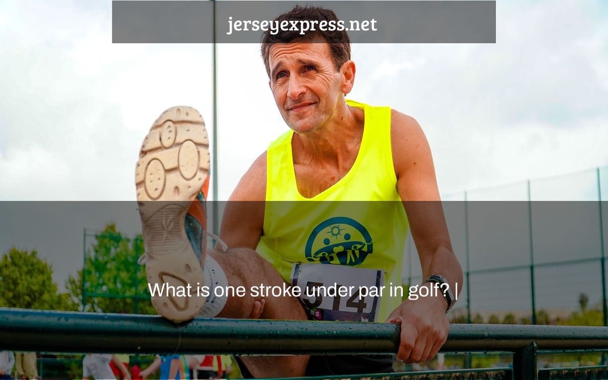 What is one stroke under par in golf? |