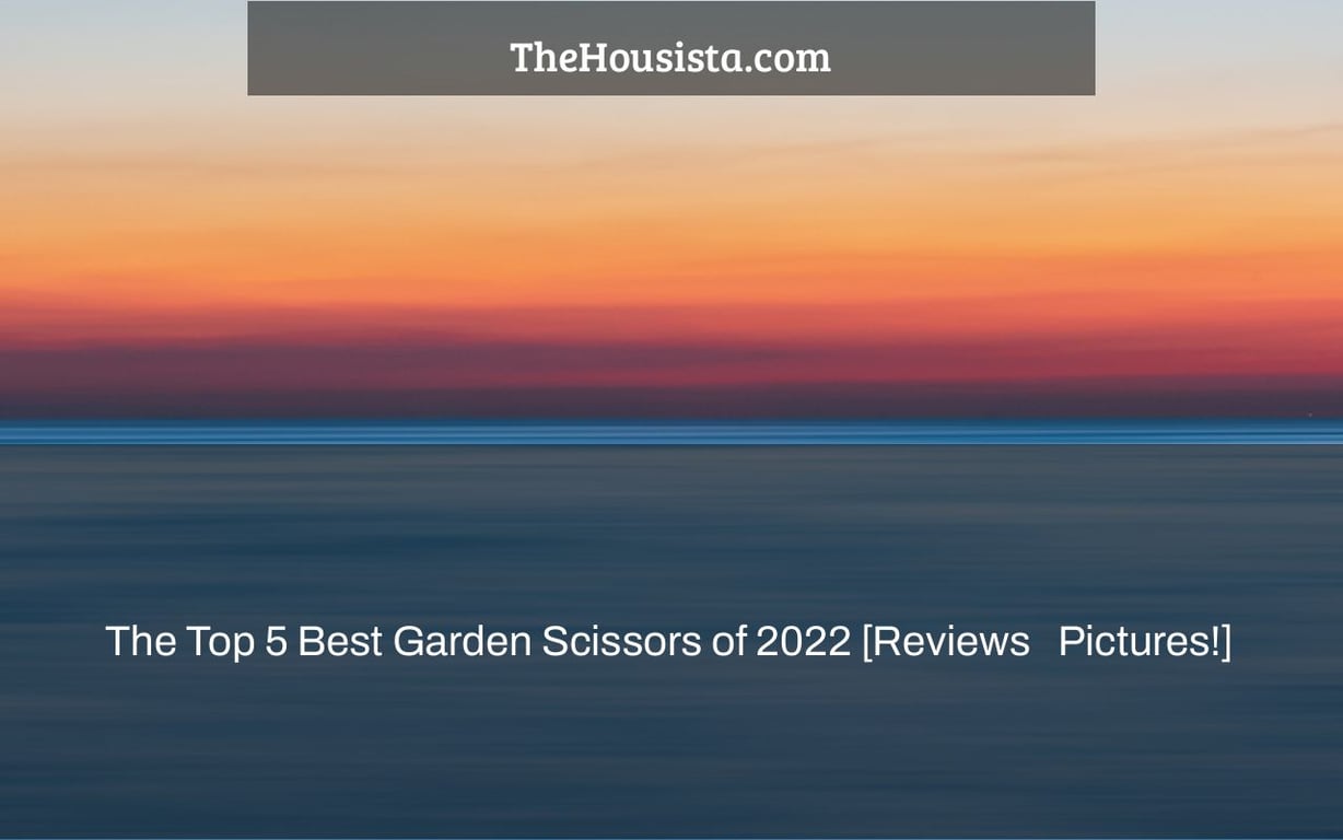 The Top 5 Best Garden Scissors of 2022 [Reviews + Pictures!]