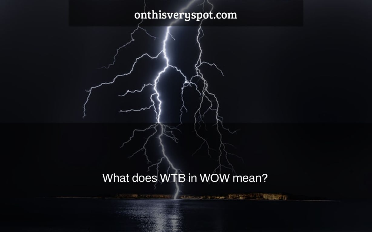 What does WTB in WOW mean?