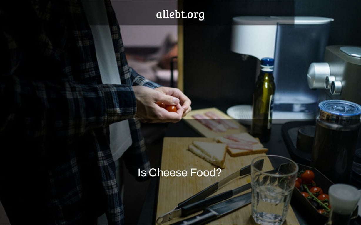 Is Cheese Food?