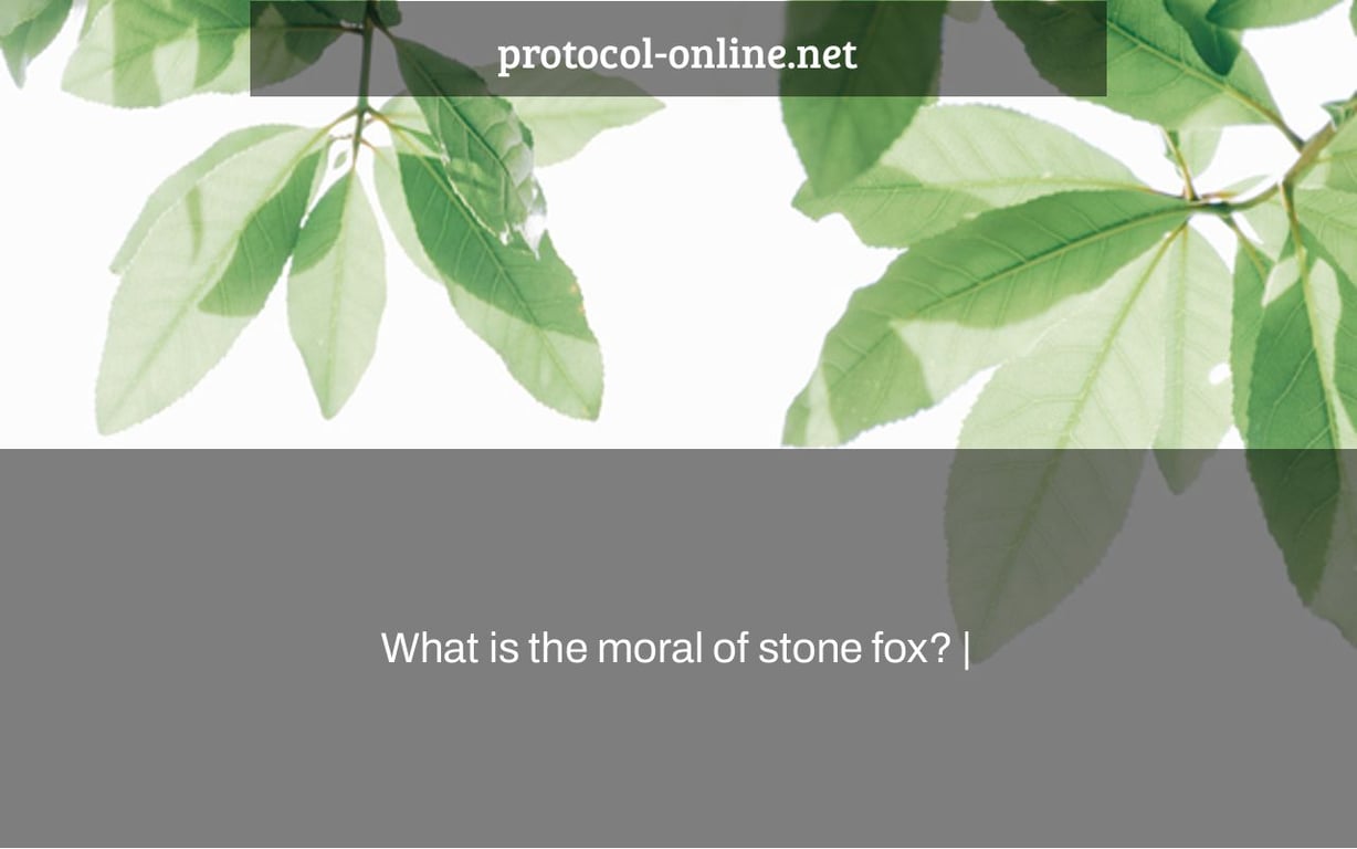 What is the moral of stone fox? |