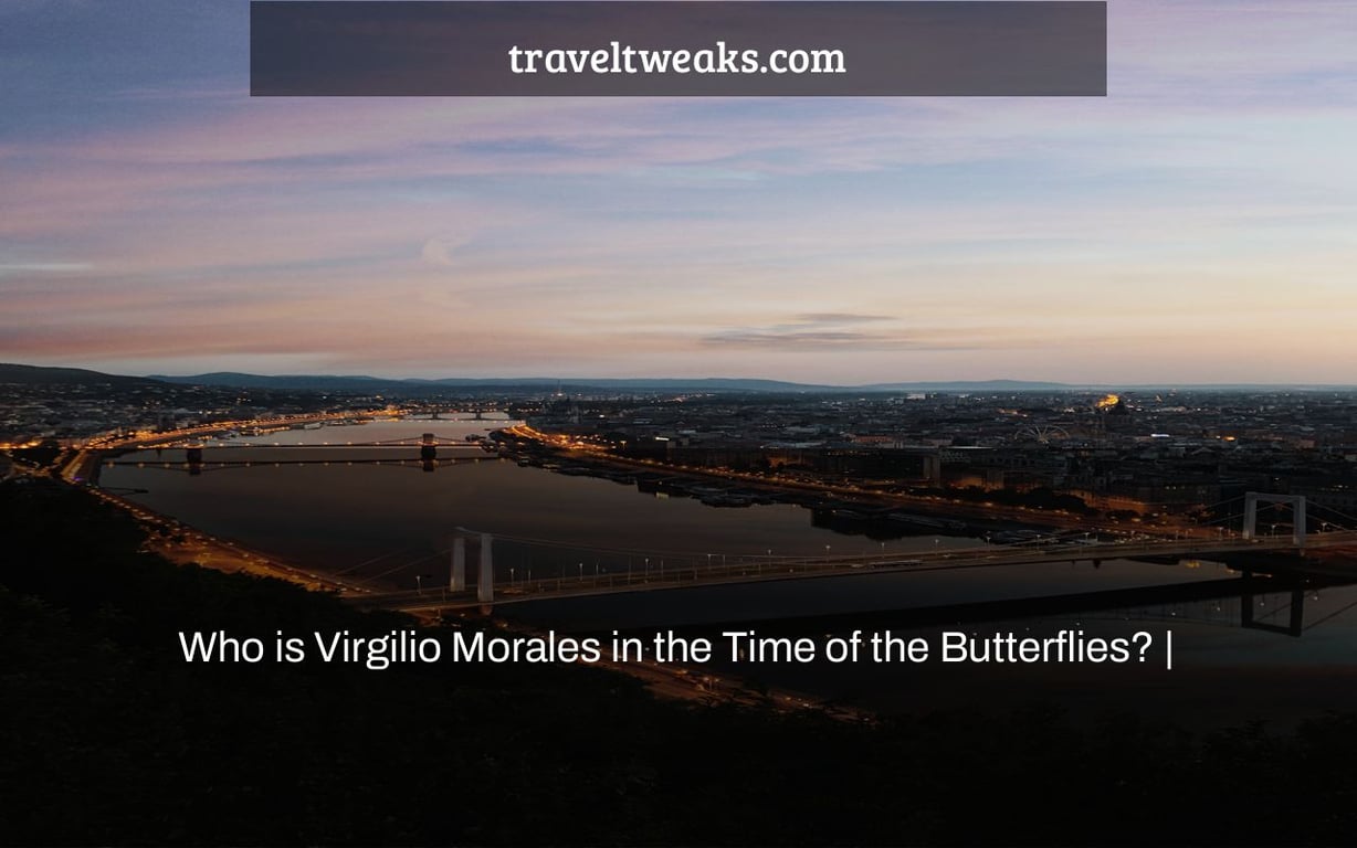 Who is Virgilio Morales in the Time of the Butterflies? |