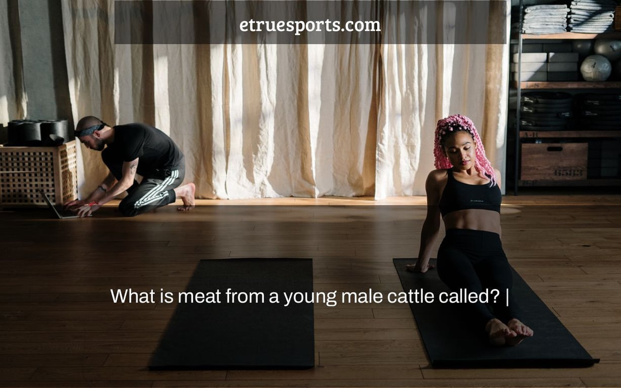 What is meat from a young male cattle called? |