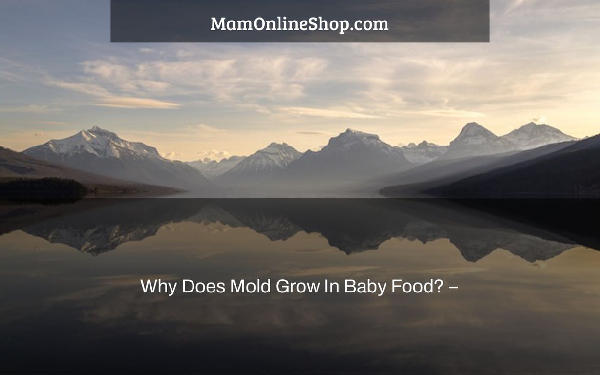Why Does Mold Grow In Baby Food? –