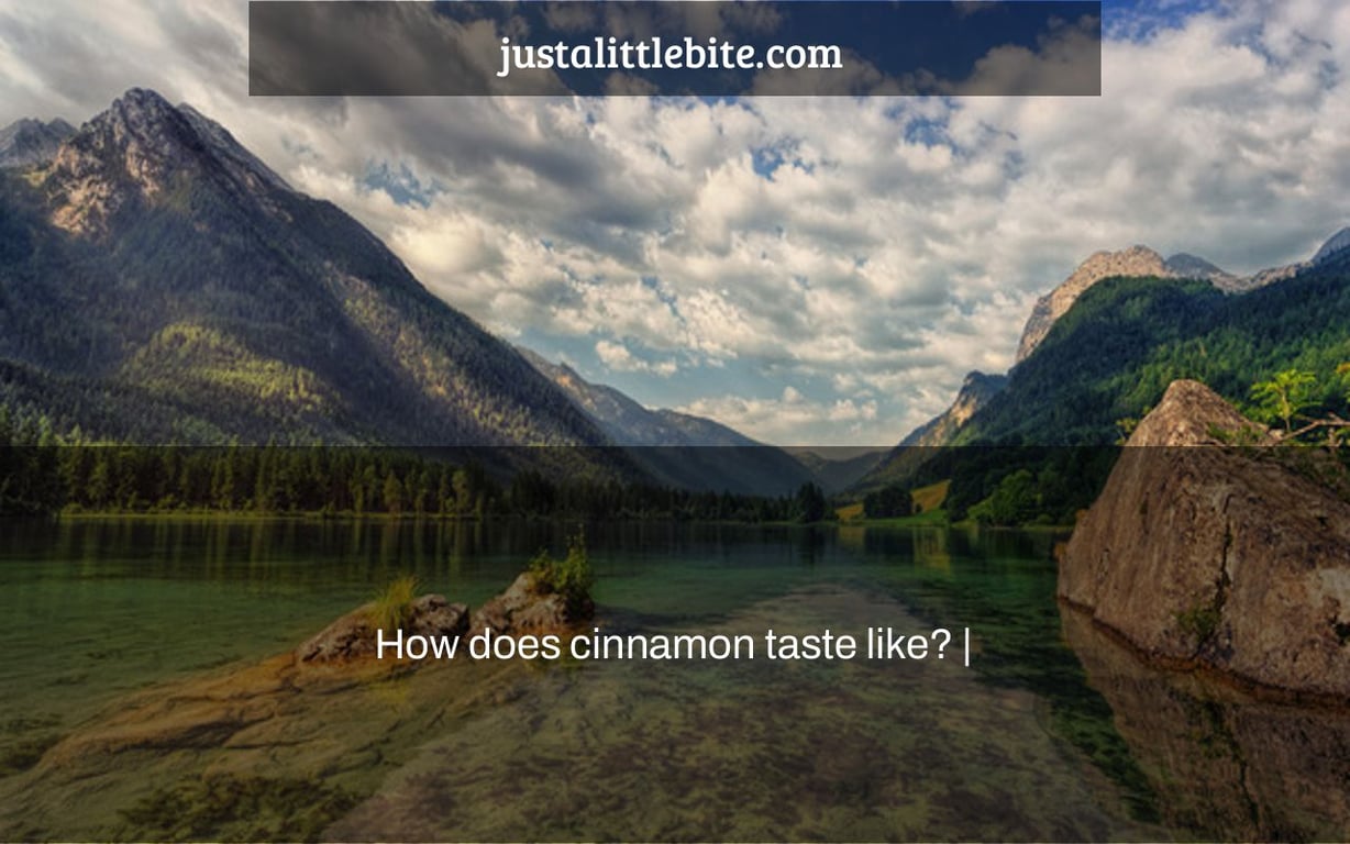 How does cinnamon taste like? |