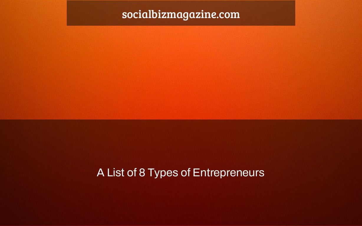 A List of 8 Types of Entrepreneurs