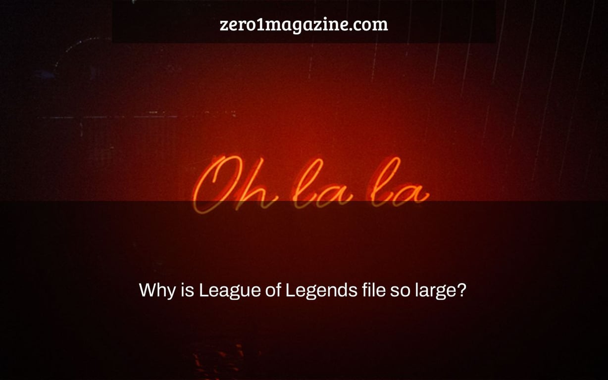 Why is League of Legends file so large?