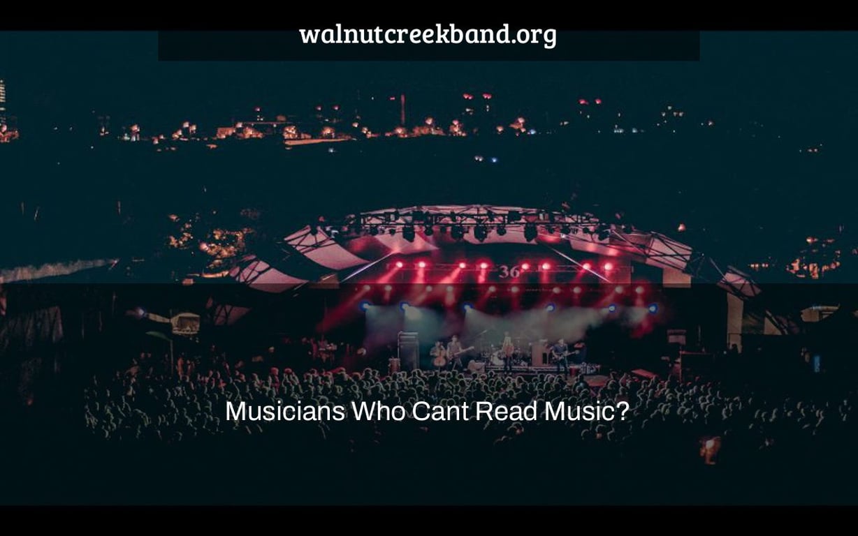 Musicians Who Cant Read Music?