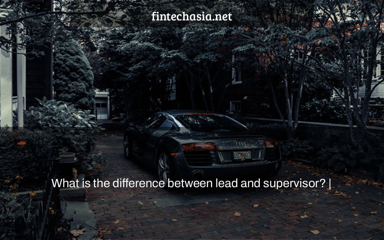 What is the difference between lead and supervisor? |