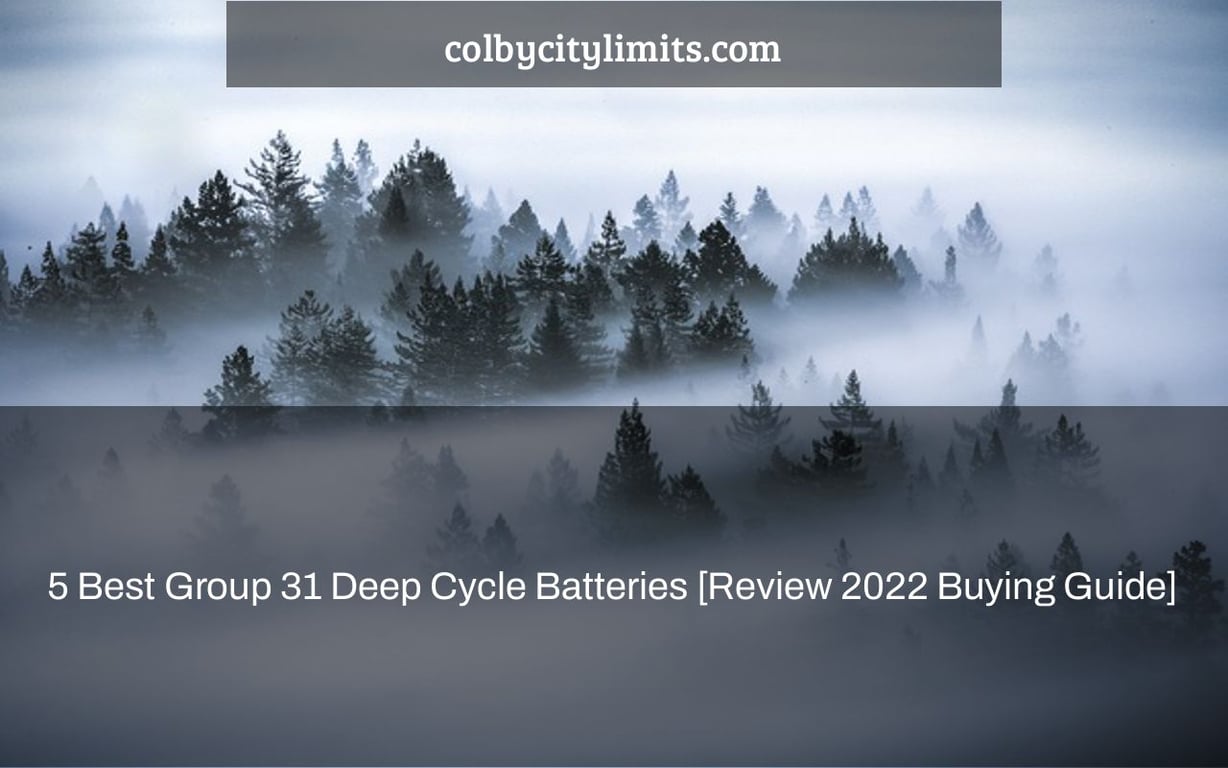 5 Best Group 31 Deep Cycle Batteries [Review 2022+Buying Guide]