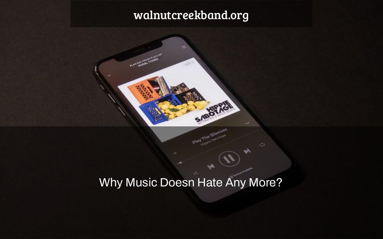 Why Music Doesn Hate Any More?