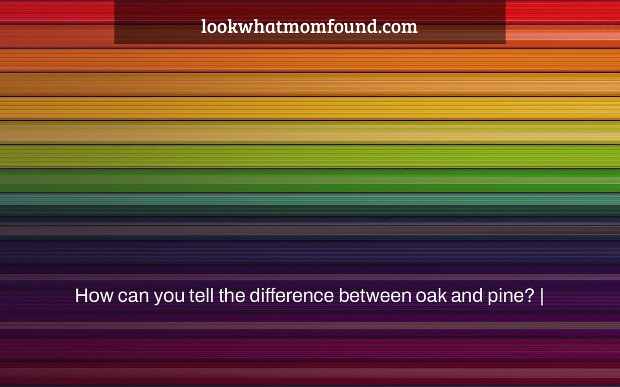 How can you tell the difference between oak and pine?
