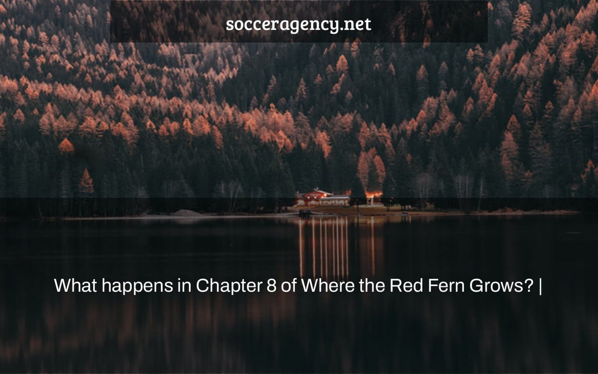 What happens in Chapter 8 of Where the Red Fern Grows? |