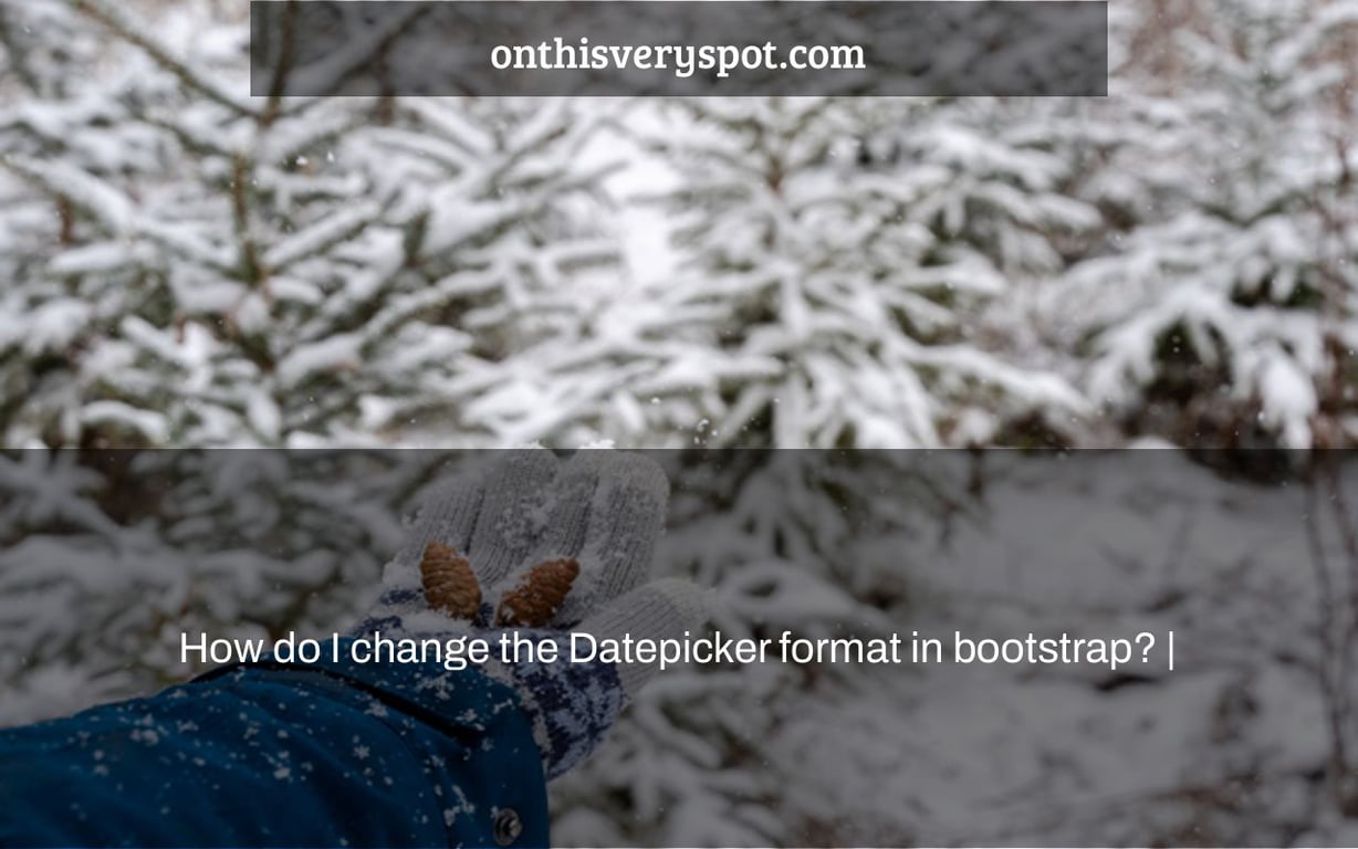 How do I change the Datepicker format in bootstrap? |