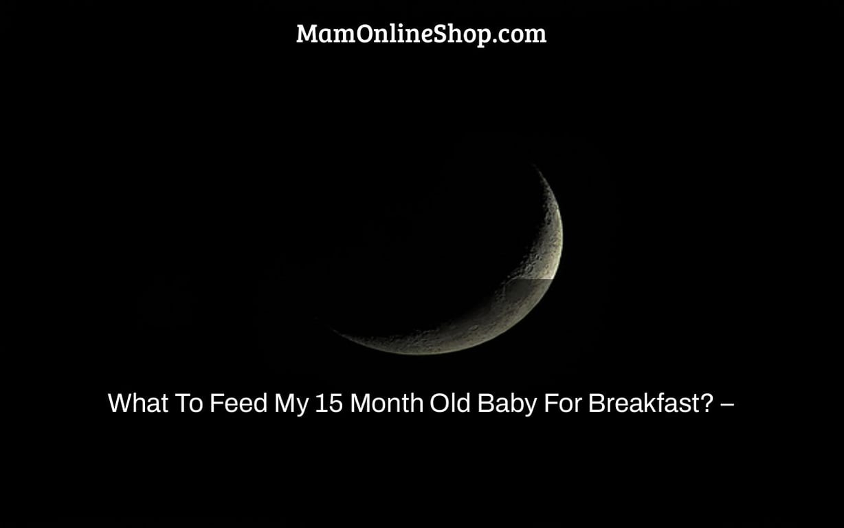 What To Feed My 15 Month Old Baby For Breakfast? –