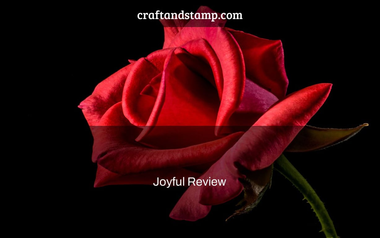 Joyful Review Craftandstamp